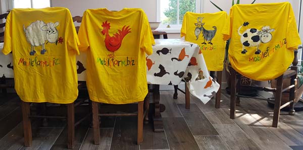 Artwork created from driftwood & pebbles, original works of art in acrylics & oil pastel, hand painted T-shirts inspired by & made in the beautiful Llyn Peninsula, North Wales 
